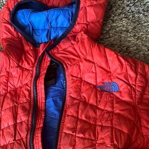 The North Face Red and Blue Puffer Jackets